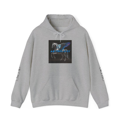 "As·trol·o·gy" Album Hoodie by B0BBi3 [Unisex]