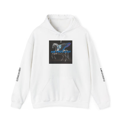 "As·trol·o·gy" Album Hoodie by B0BBi3 [Unisex]