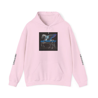 "As·trol·o·gy" Album Hoodie by B0BBi3 [Unisex]