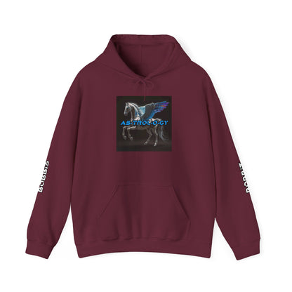 "As·trol·o·gy" Album Hoodie by B0BBi3 [Unisex]