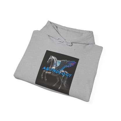 "As·trol·o·gy" Album Hoodie by B0BBi3 [Unisex]