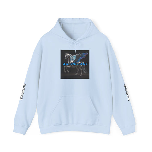 "As·trol·o·gy" Album Hoodie by B0BBi3 [Unisex]